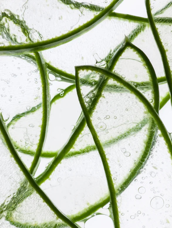 Brightening Peptide Hydrogel Eye Patches